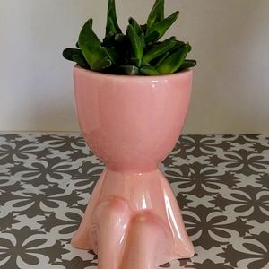 Small ceramic plant holder